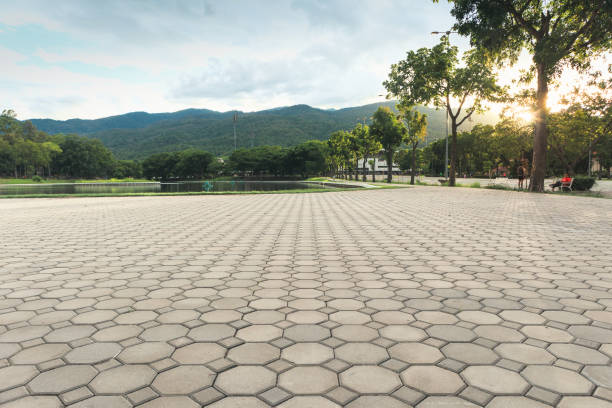 Best Interlocking Driveway Pavers  in Oakwood Hls, IL