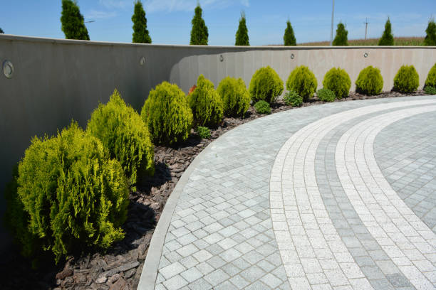 Reasons to Select Us for Your Driveway Paving Requirements in Oakwood Hills, IL